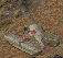 Attached Image