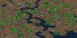 Attached Image