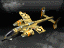 Attached Image