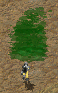 Attached Image
