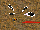 Attached Image